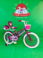 دوچرخه دخترانه راک ROCK سایز 20