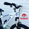 دوچرخه کوهستان ویوا (طرح ویوا) مدل المنت Element سایز 26