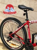 دوچرخه جاینت سایز 26 و 24