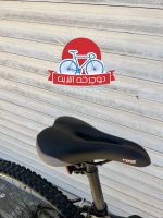 دوچرخه کوهستان ویوا مدل بلیز Blaze سایز 29