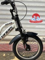 دوچرخه کافیدیس دو فنر مدل sus 00S سایز 16