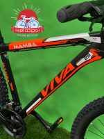 دوچرخه ویوا مدل مامبا mamba 3600 سایز 29