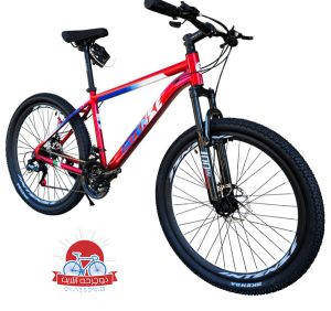 دوچرخه کوهستان اینتنس Intense مدل Champion CD200 سایز 26