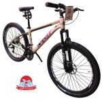 دوچرخه کوهستان اینتنس Intense مدل Champion CD200 سایز 26