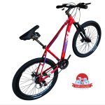 دوچرخه کوهستان اینتنس Intense مدل Champion CD200 سایز 26
