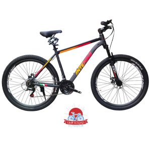 دوچرخه کوهستان اینتنس Intense مدل Champion CD200 سایز 27/5