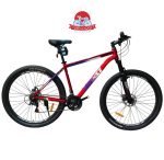دوچرخه کوهستان اینتنس Intense مدل Champion CD200 سایز 29