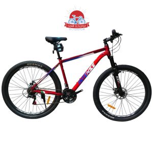 دوچرخه کوهستان اینتنس Intense مدل Champion CD200 سایز 29