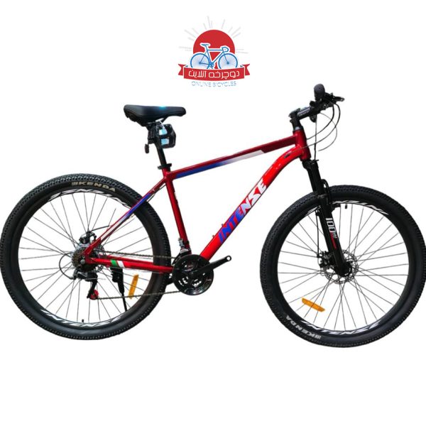 دوچرخه کوهستان اینتنس Intense مدل Champion CD200 سایز 29
