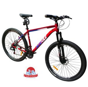 دوچرخه کوهستان اینتنس Intense مدل Champion CD200 سایز 29