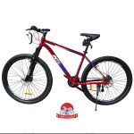 دوچرخه کوهستان اینتنس Intense مدل Champion CD200 سایز 29