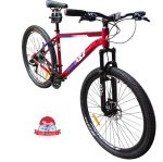 دوچرخه کوهستان اینتنس Intense مدل Champion CD200 سایز 29