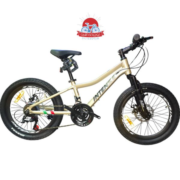 دوچرخه کوهستان اینتنس Intense مدل Champion CD400 سایز 20