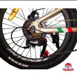 دوچرخه کوهستان اینتنس Intense مدل Champion CD400 سایز 20