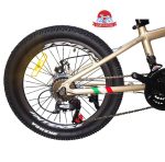 دوچرخه کوهستان اینتنس Intense مدل Champion CD400 سایز 20