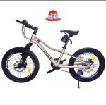 دوچرخه کوهستان اینتنس Intense مدل Champion CD400 سایز 20