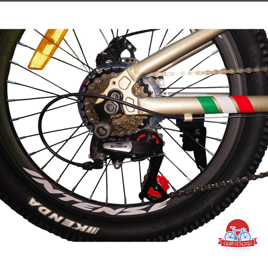 دوچرخه کوهستان اینتنس Intense مدل Champion CD400 سایز 20