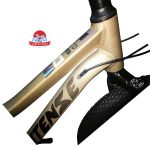 دوچرخه کوهستان اینتنس Intense مدل Champion CD400 سایز 20