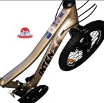 دوچرخه کوهستان اینتنس Intense مدل Champion CD400 سایز 20