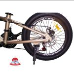 دوچرخه کوهستان اینتنس Intense مدل Champion CD400 سایز 20