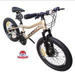 دوچرخه کوهستان اینتنس Intense مدل Champion CD400 سایز 20