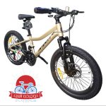دوچرخه کوهستان اینتنس Intense مدل Champion CD400 سایز 20