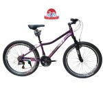 دوچرخه کوهستان اینتنس Intense مدل Champion CV300 سایز 24