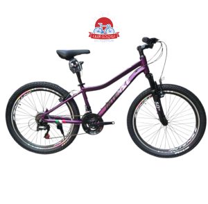 دوچرخه کوهستان اینتنس Intense مدل Champion CV300 سایز 24