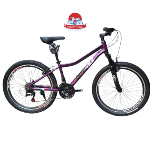 دوچرخه کوهستان اینتنس Intense مدل Champion CV300 سایز 24