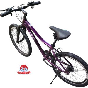 دوچرخه کوهستان اینتنس Intense مدل Champion CV300 سایز 24