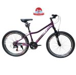 دوچرخه کوهستان اینتنس Intense مدل Champion CV300 سایز 24
