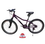 دوچرخه کوهستان اینتنس Intense مدل Champion CV300 سایز 24