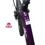 دوچرخه کوهستان اینتنس Intense مدل Champion CV300 سایز 24