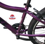 دوچرخه کوهستان اینتنس Intense مدل Champion CV300 سایز 24